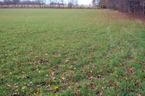 Property photo 1 - 80 Acres & Home - Property Offered in 4 Tracts from 2.3 to 30.0 Acres